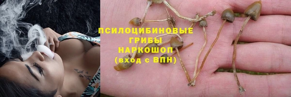прущие крисы Нефтекумск