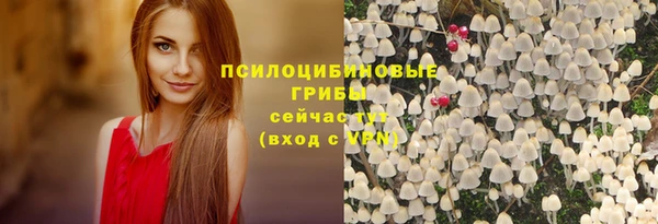 прущие крисы Нефтекумск