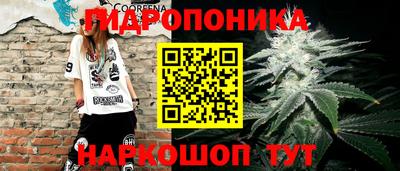 альфа пвп Аргун