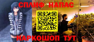 альфа пвп Аргун