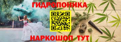 альфа пвп Аргун