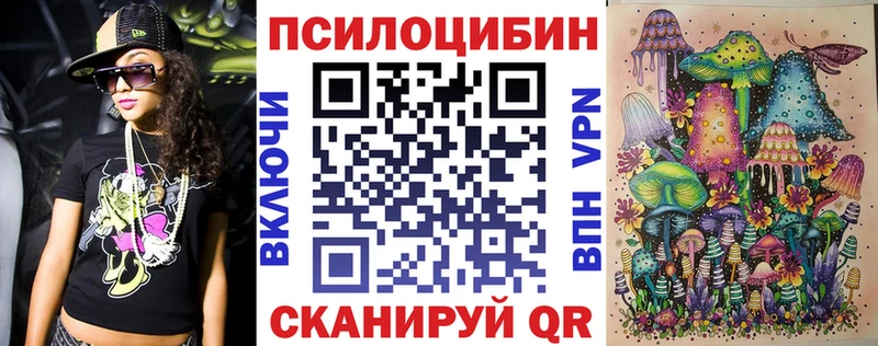 Псилоцибиновые грибы Cubensis где найти Ачинск