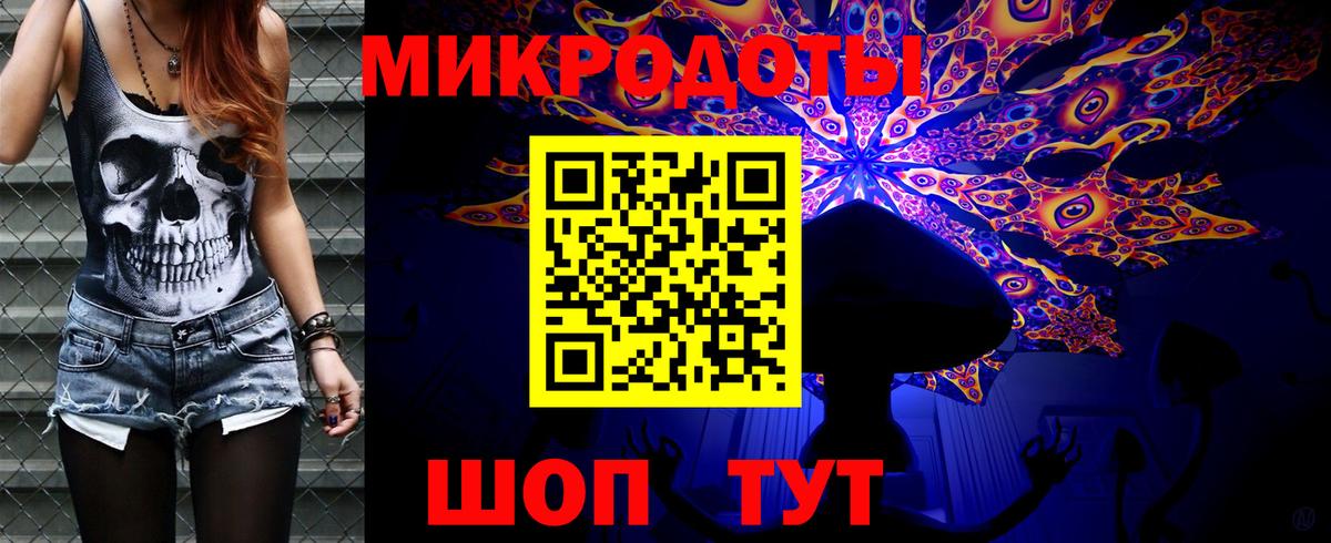 Псилоцибиновые грибы Psilocybe  Ачинск 